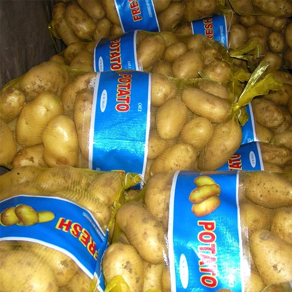 Fresh New Crop Yellow Skin Potato best